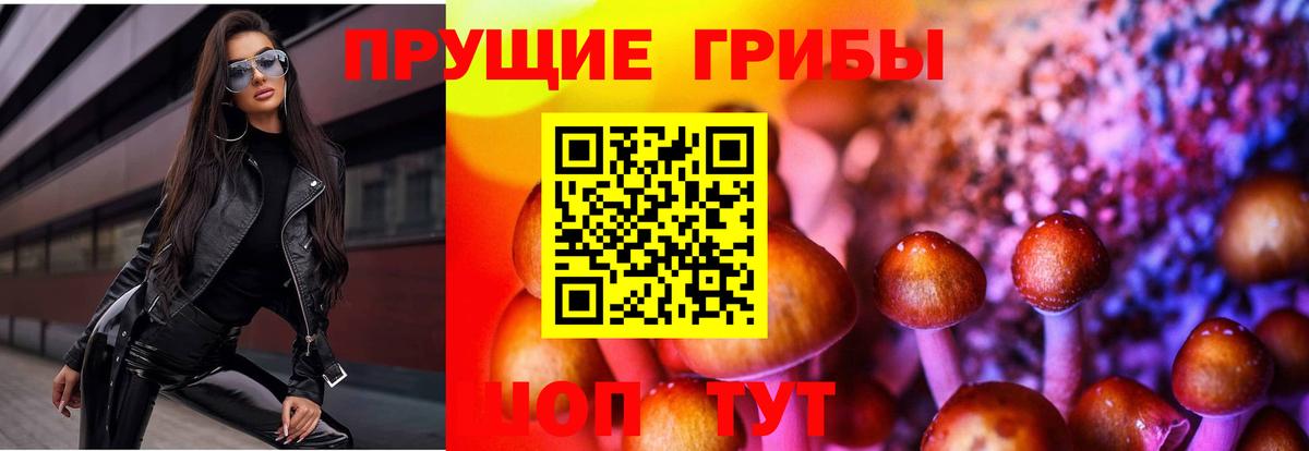 Октябрьский  Галлюциногенные грибы прущие грибы  Вход с VPN  Галлюциногенные грибы Cubensis 